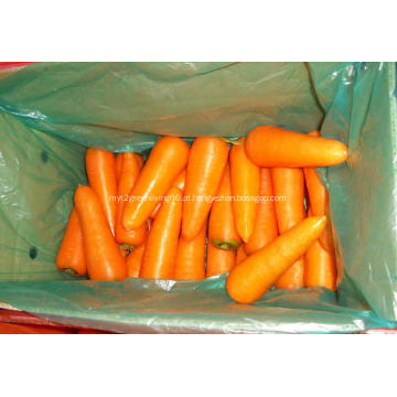 Legumes frescos de cenoura para venda